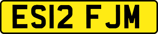 ES12FJM