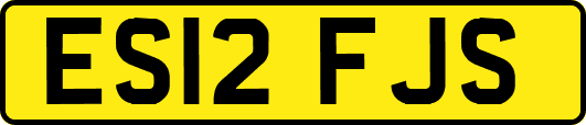 ES12FJS