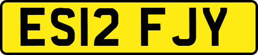 ES12FJY