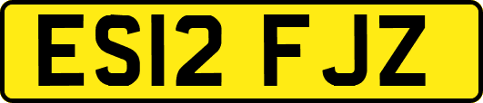 ES12FJZ