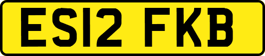 ES12FKB