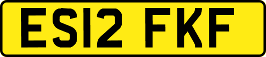 ES12FKF