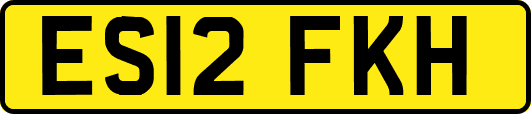 ES12FKH