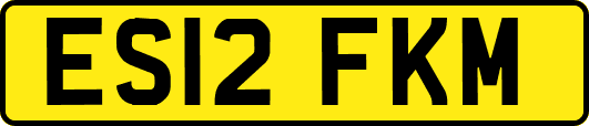 ES12FKM