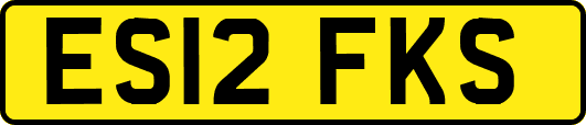 ES12FKS
