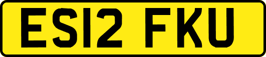 ES12FKU