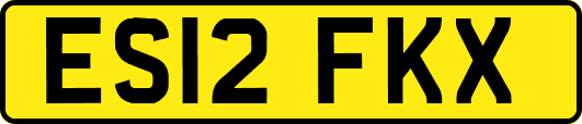 ES12FKX