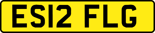 ES12FLG