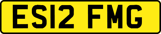 ES12FMG