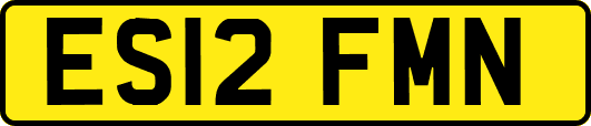 ES12FMN