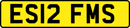 ES12FMS