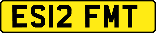 ES12FMT