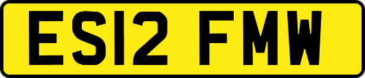 ES12FMW