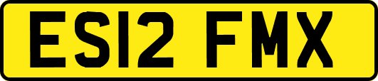 ES12FMX