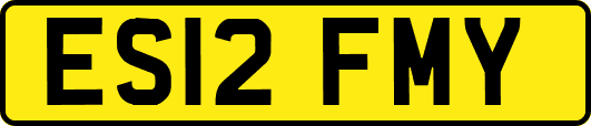 ES12FMY