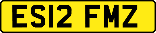 ES12FMZ
