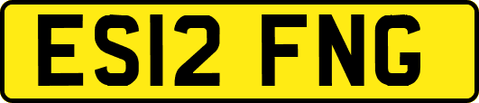 ES12FNG