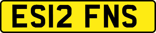 ES12FNS