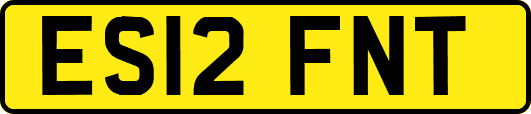 ES12FNT