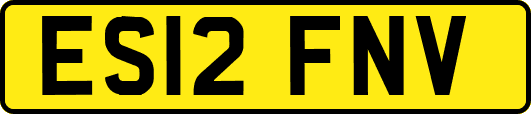 ES12FNV