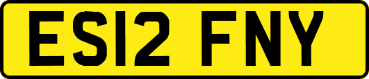 ES12FNY
