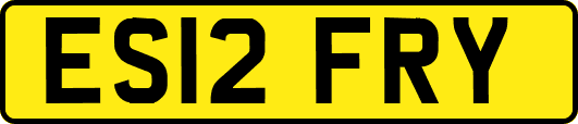 ES12FRY