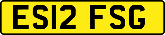 ES12FSG