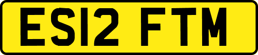 ES12FTM