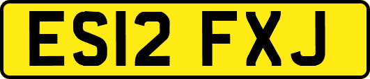 ES12FXJ