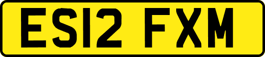 ES12FXM