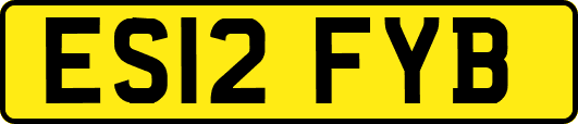 ES12FYB