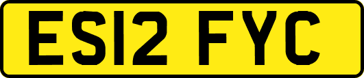 ES12FYC
