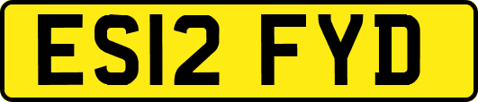 ES12FYD
