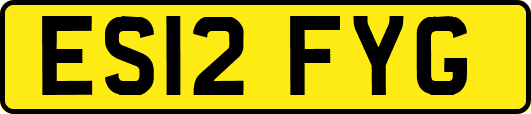 ES12FYG