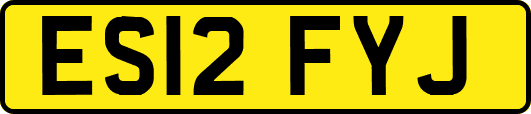 ES12FYJ