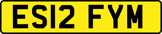 ES12FYM