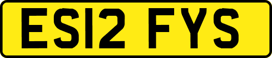 ES12FYS