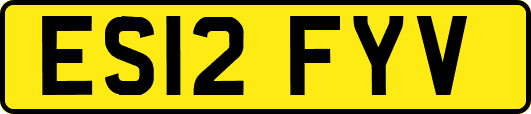 ES12FYV