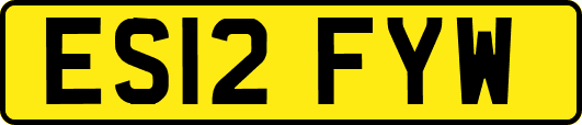 ES12FYW