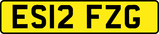 ES12FZG