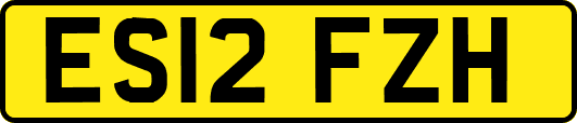 ES12FZH