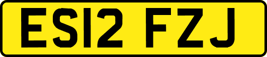 ES12FZJ