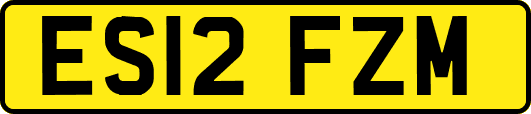 ES12FZM