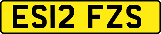 ES12FZS