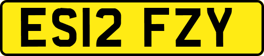 ES12FZY