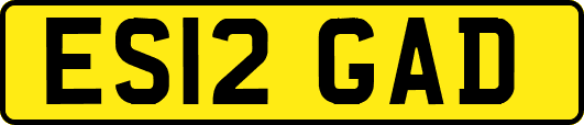 ES12GAD