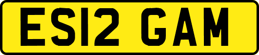 ES12GAM