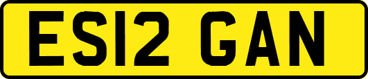 ES12GAN