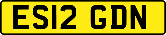 ES12GDN