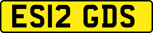 ES12GDS